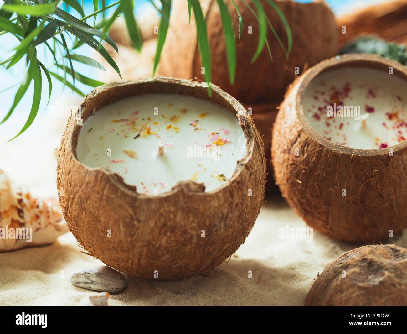 Original decorative handmade natural soy wax candle in a coconut ...