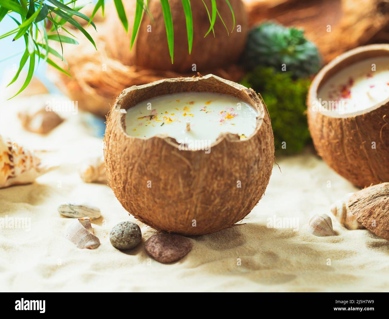12oz Soy-Coconut Wax Candle main image 1