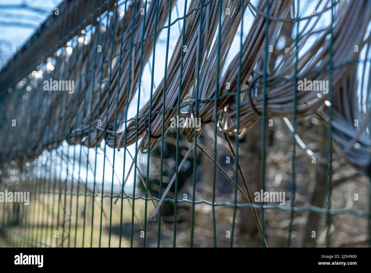 Deer wire barbed hires stock photography and images Alamy