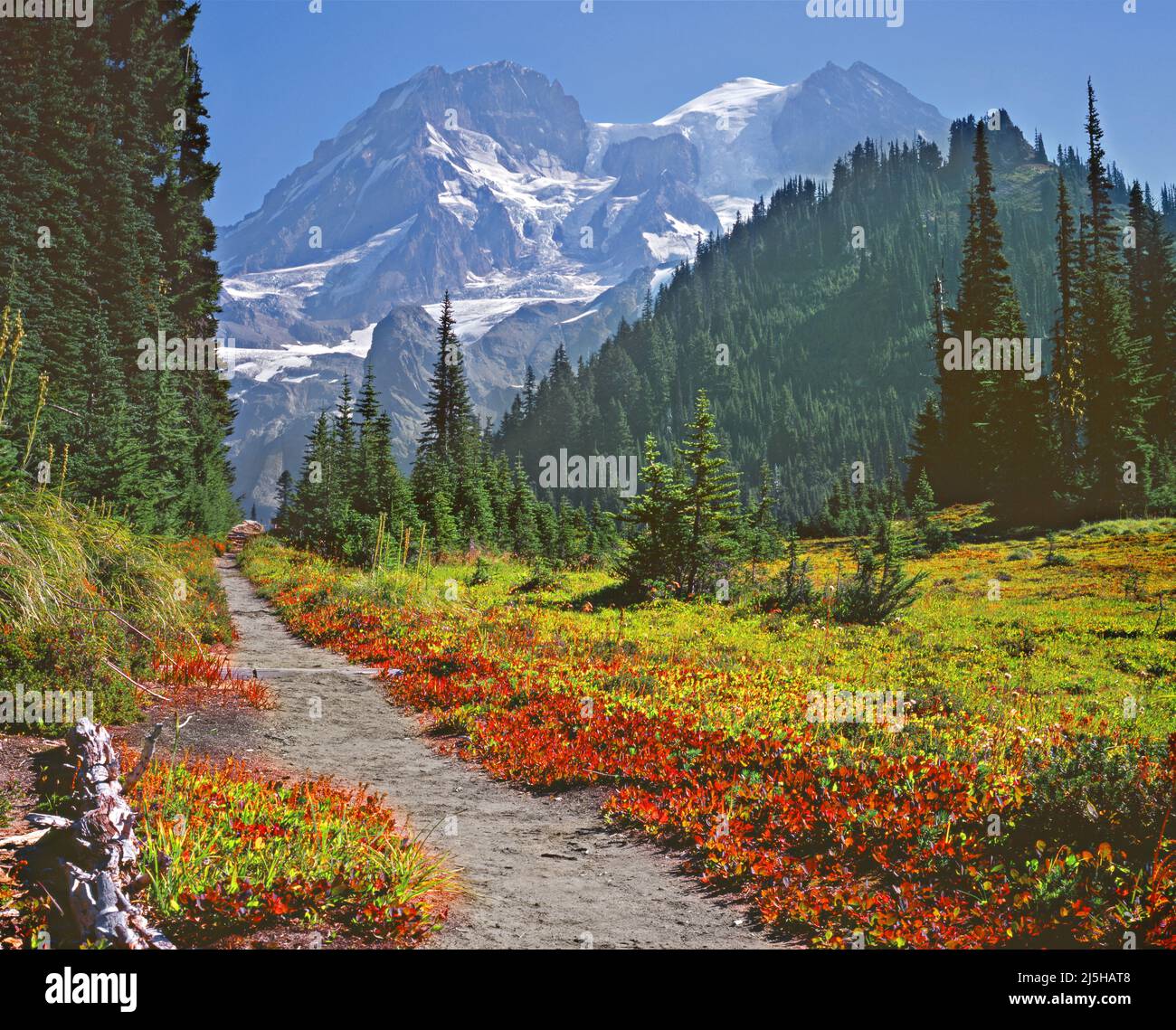 Wonderland Trail, Mt Rainier, Mt. Rainier National Park, Cascade Range, Washington Stock Photo