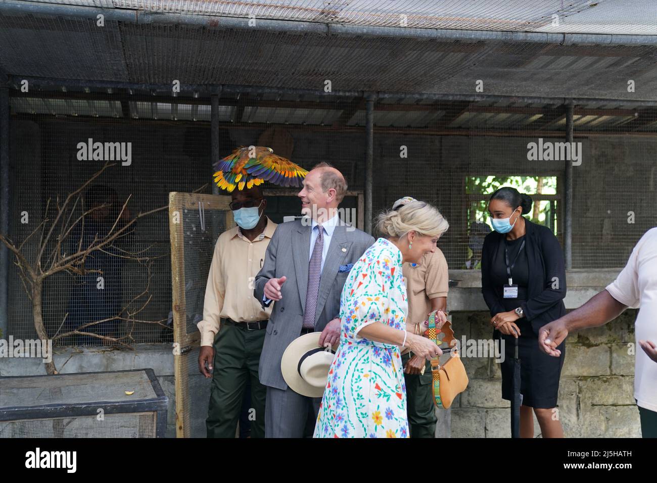 The Earl and the Countess of Wessex with St Vincent's national bird, the Amazona guildingii after it nearly knocked her sunglasses at the Botanical Gardens in St Vincent and the Grenadines, as they continue their visit to the Caribbean, to mark the Queen's Platinum Jubilee. Picture date: Saturday April 23, 2022. Stock Photo