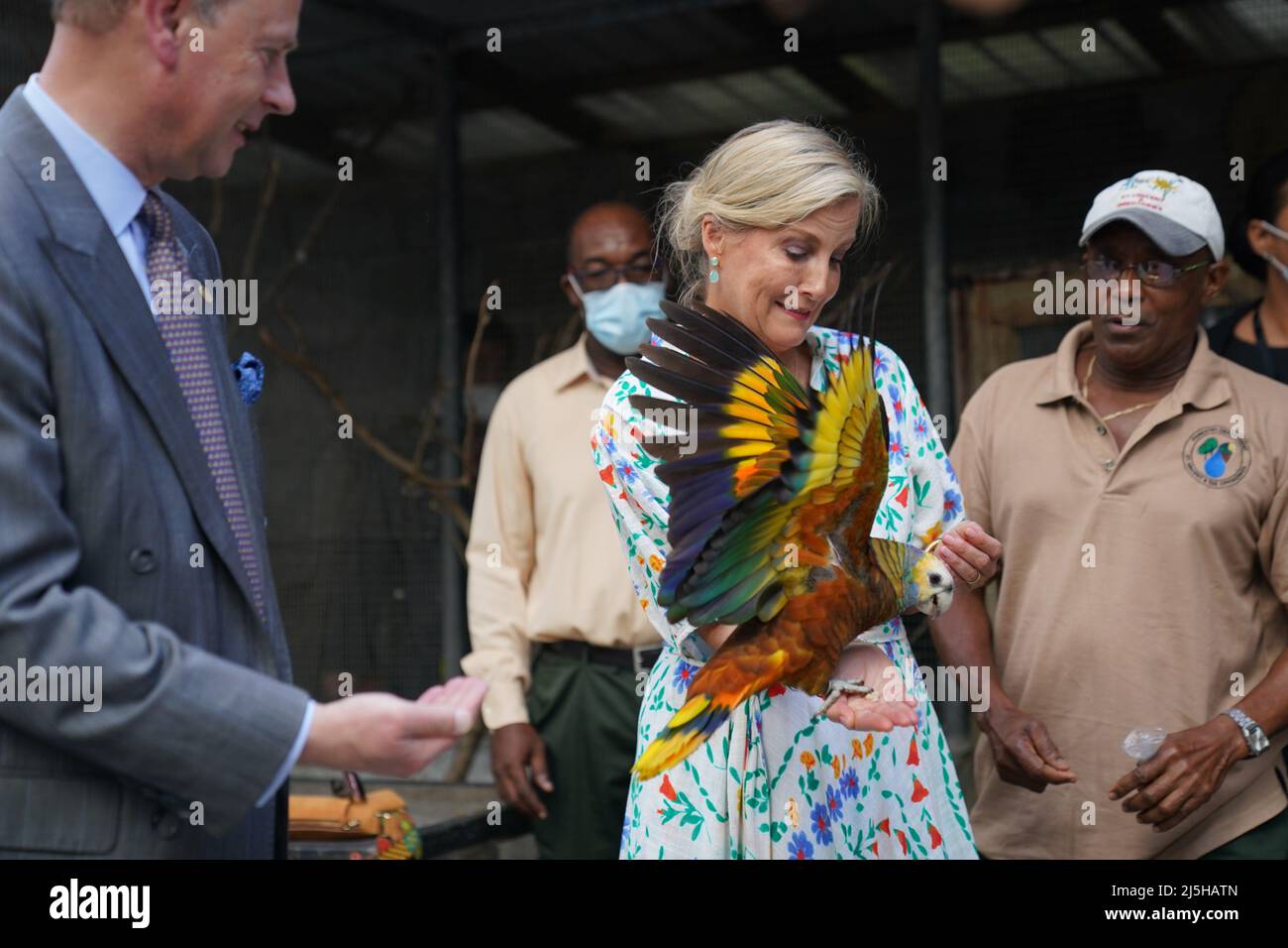 The Earl and the Countess of Wessex with St Vincent's national bird, the Amazona guildingii at the Botanical Gardens in St Vincent and the Grenadines, as they continue their visit to the Caribbean, to mark the Queen's Platinum Jubilee. Picture date: Saturday April 23, 2022. Stock Photo