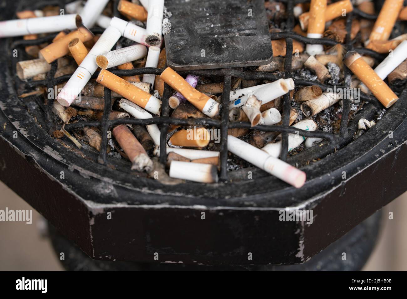 A very fill public Cigarette Bin Stock Photo Alamy