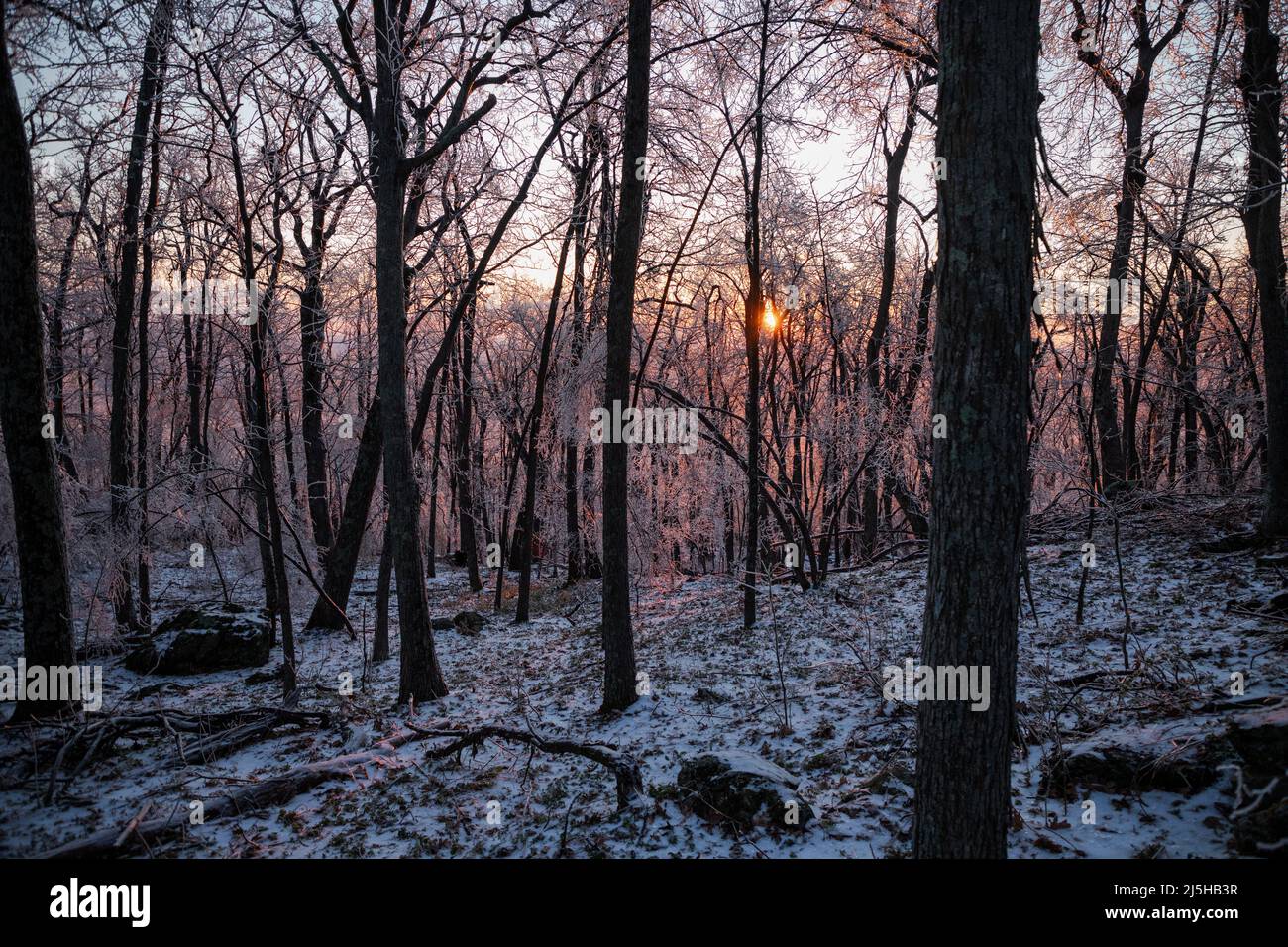 Sunrise Peaks Through Frozen Winter Forest Stock Photo Alamy
