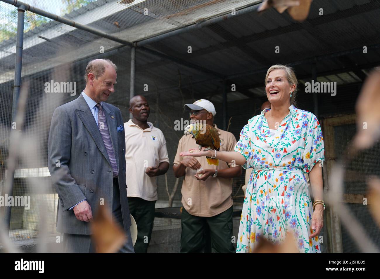 The Earl and the Countess of Wessex with St Vincent's national bird, the Amazona guildingii at the Botanical Gardens in St Vincent and the Grenadines, as they continue their visit to the Caribbean, to mark the Queen's Platinum Jubilee. Picture date: Saturday April 23, 2022. Stock Photo