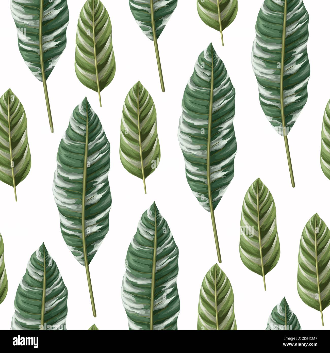 Seamless pattern with tropical striped leaves. Vector. Stock Vector