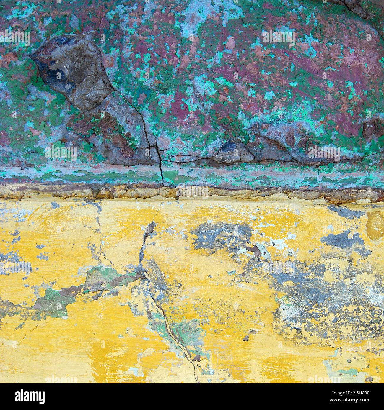 My Image 31