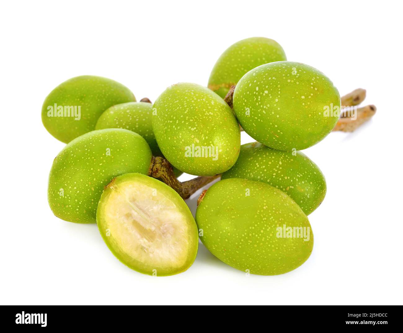 Hog plum Cut Out Stock Images & Pictures Alamy