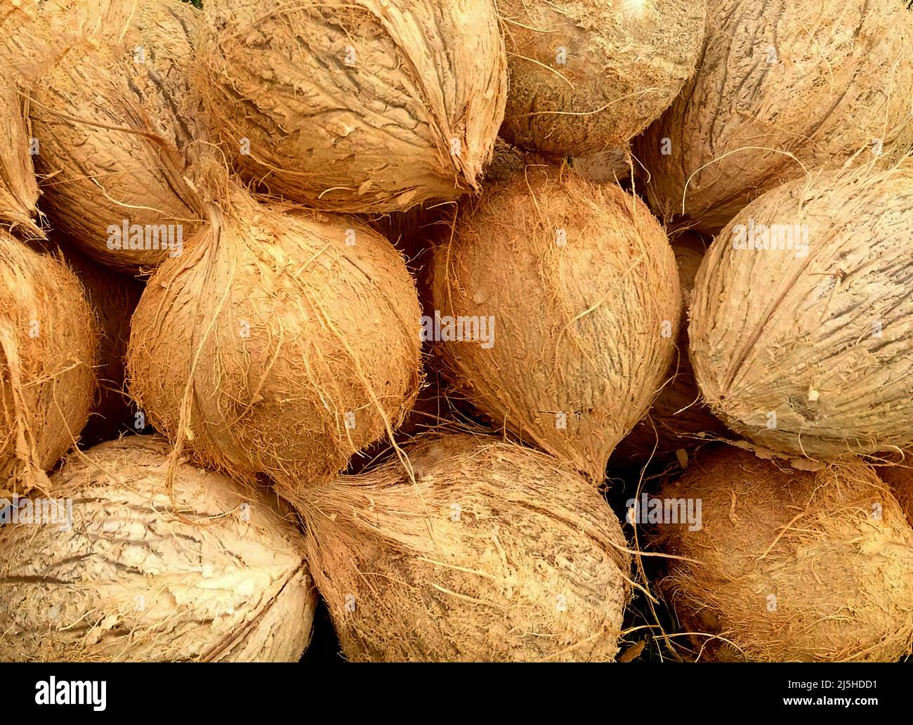 Hard skin fruits hi-res stock photography and images - Alamy