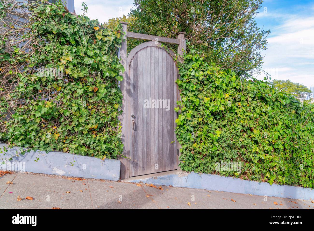 Arched wooden gate door on a slope at San Francisco, California. Wooden