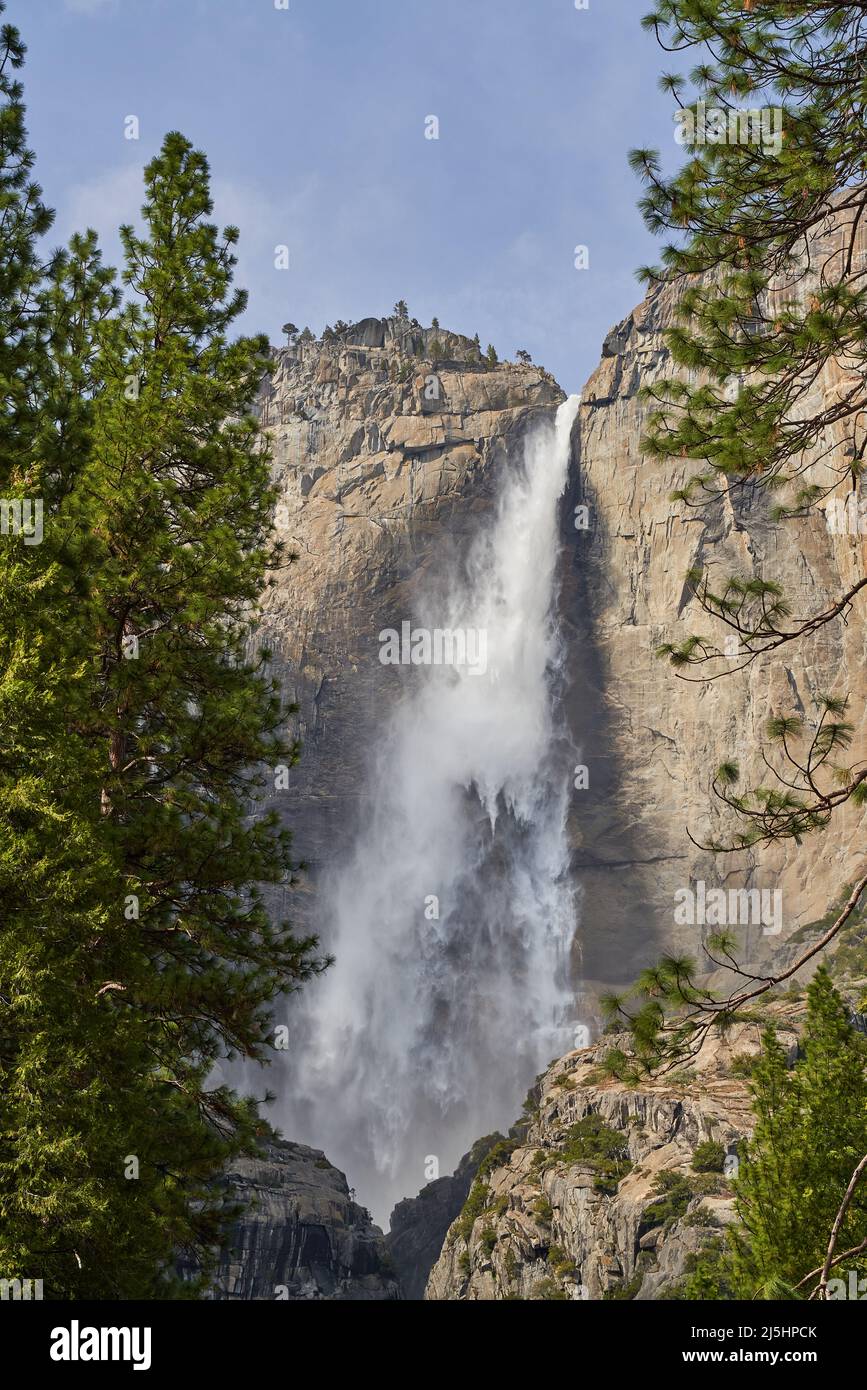 Yosemite Falls close-up, Yosemite National Park, California; surrounded by trees, sunny spring day. Stock Photo