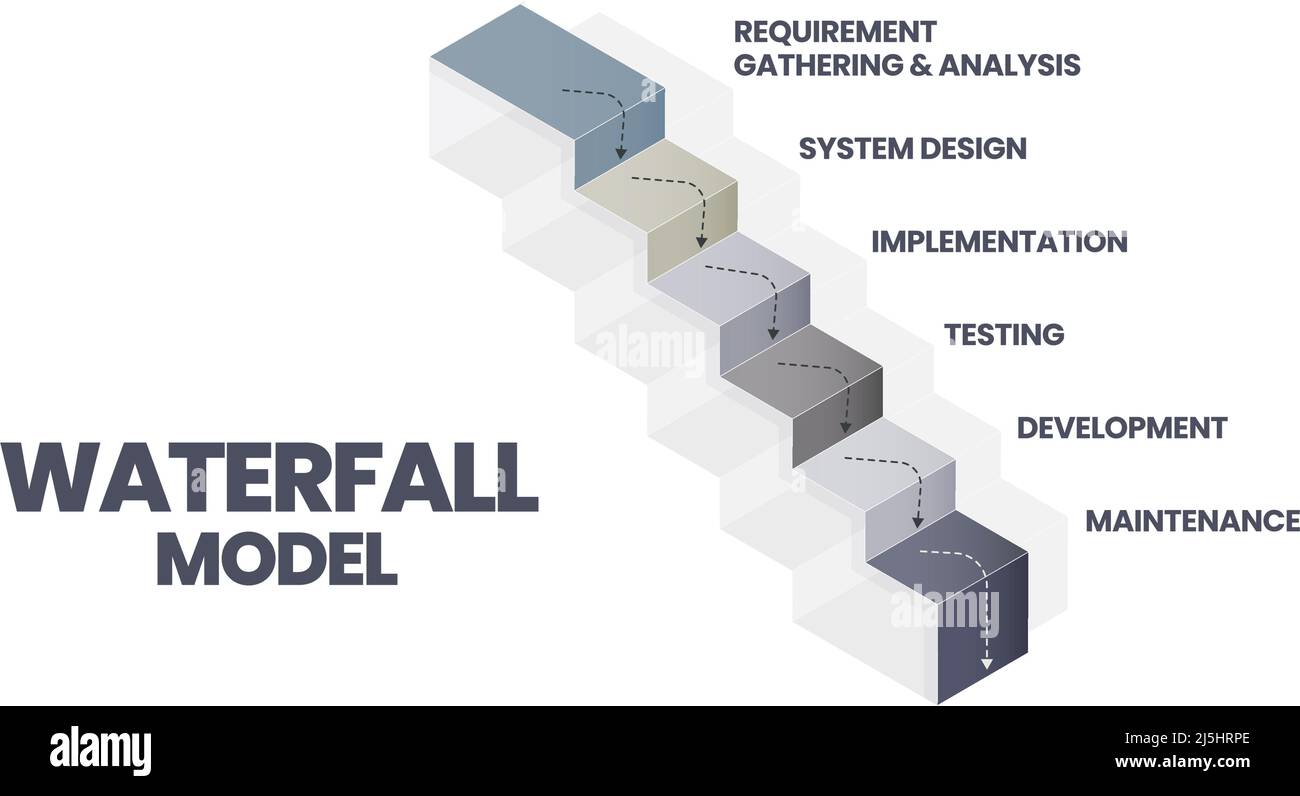 The waterfall model infographic vector is used in software engineering or software development processes. The illustration has 6 steps like Agile meth Stock Vector