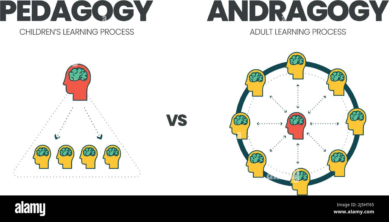 The vector illustration of comparison between pedagogy or child learning and andragogy or adult education. The infographic is different than teachers Stock Vector