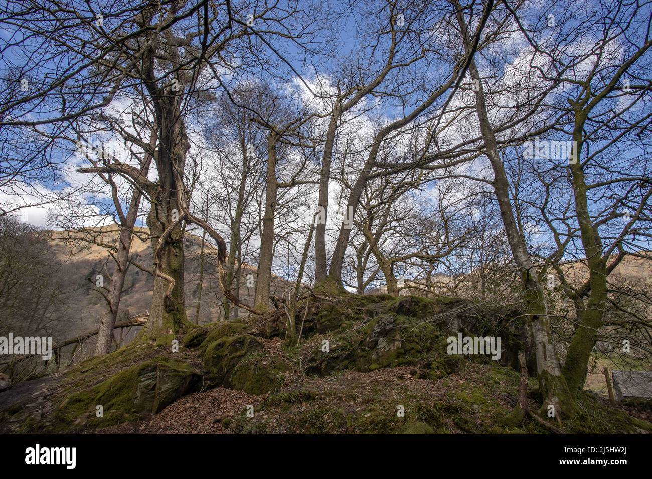 Landscape Images at the Lake District National Park in Cumbria - United Kingdom Stock Photo