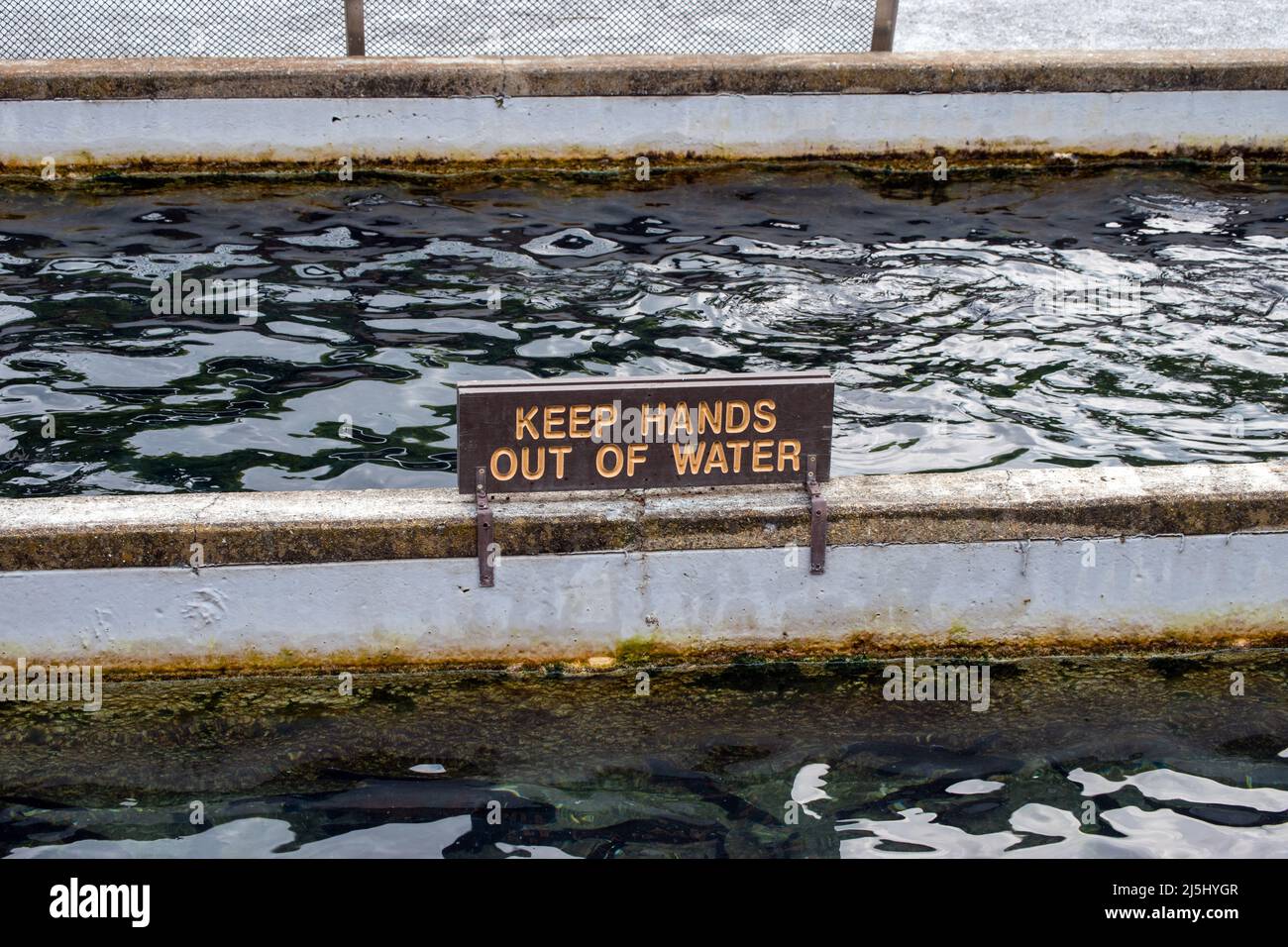 The sign makes the warning clear: keep hands out of water. Stock Photo