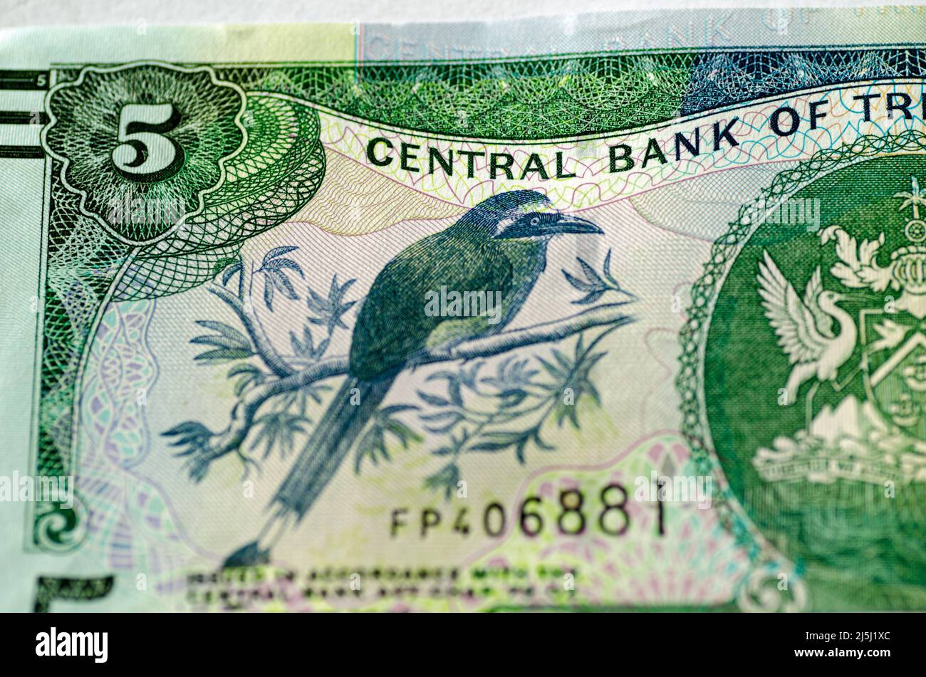 Detail from a 5 dollar banknote from Trinidad and Tobago showing a Blue-crowned Motmot (Momotus momota) sitting on a tree branch. Stock Photo