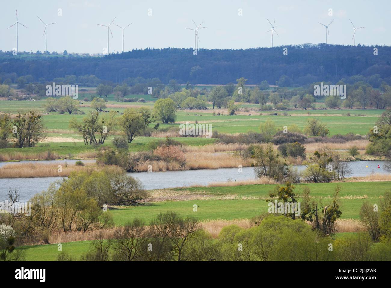 19 April 2022, Brandenburg, Schwedt/Ot Schöneberg: View from the lookout point Richterberg at the edge of the village Stützkow in the National Park Lower Oder Valley towards the Oder River. The national park has an area of about 10,300 hectares and was founded in 1995. Countless rare animal and plant species can be found here. The national park is also well developed for tourists on hiking and biking trails. Photo: Soeren Stache/dpa/ZB Stock Photo