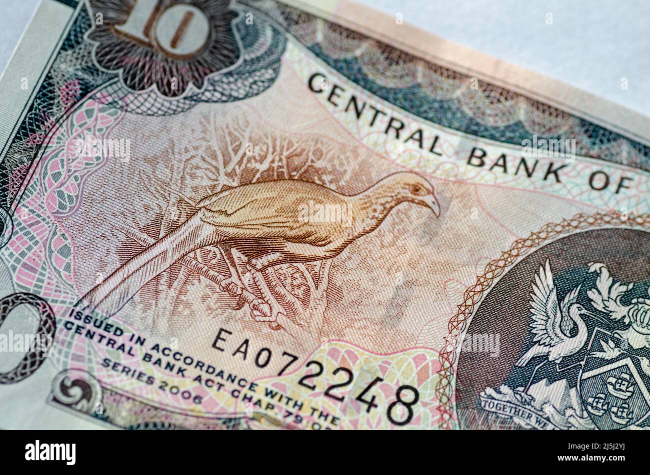 Detail from a ten dollar banknote from Trinidad and Tobago showing a Rufous-vented Chachalaca (Ortalis ruficauda), also known as Cocrico bird.  The bi Stock Photo