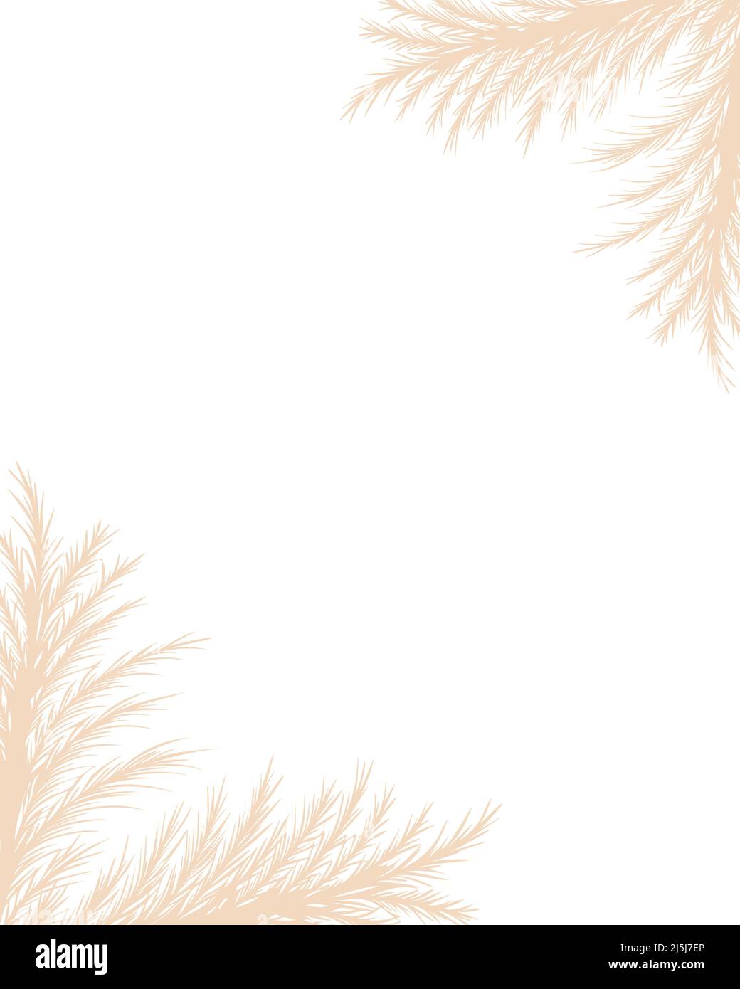 White feather pampas grass Stock Vector Images Alamy