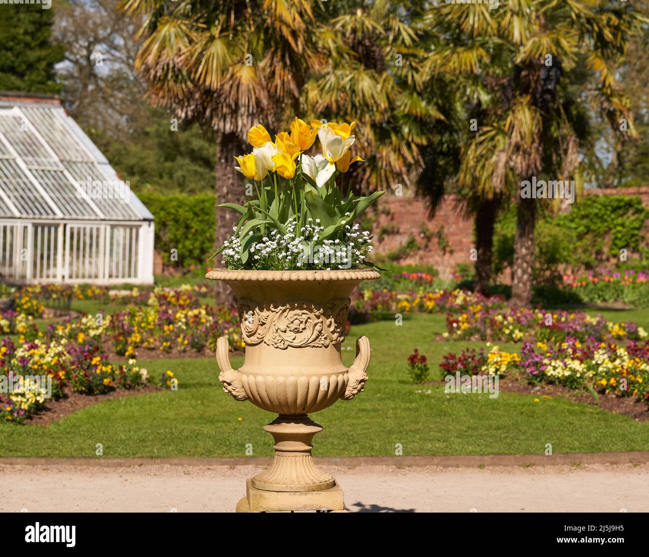 Palm trees and flower beds in a walled garden Stock Photo Alamy