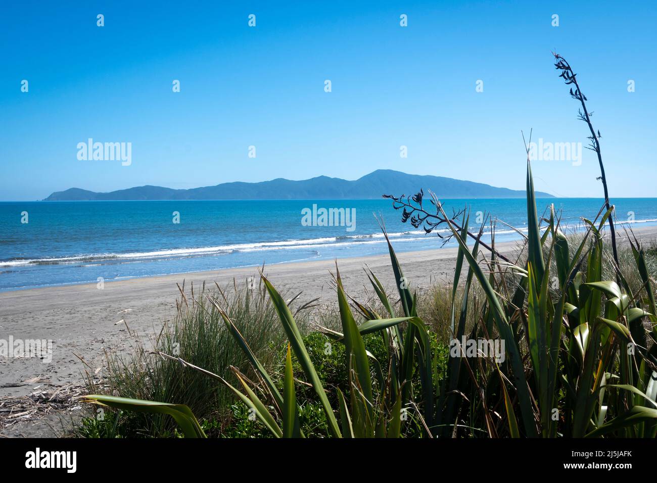 Paekakariki, Kapiti District, North Island, New Zealand Stock Photo