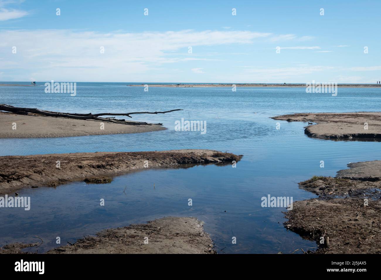 Tidal pools, Paraparaumu Beach, Kapiti District, North Island, New