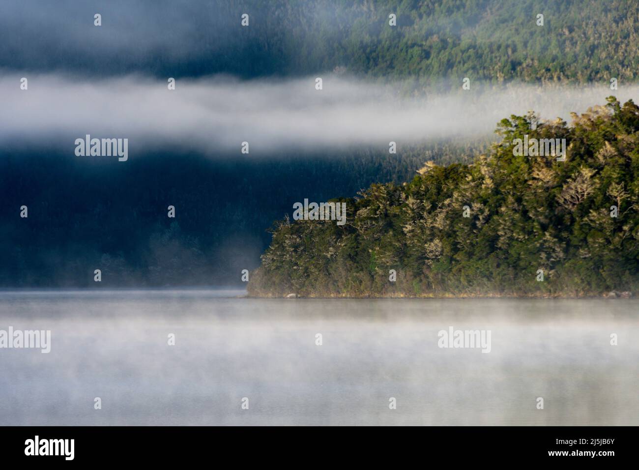 Lake Rotoiti Sunlight on rainforest, Lake Rotoiti, Nelson Lakes National Park, South ...