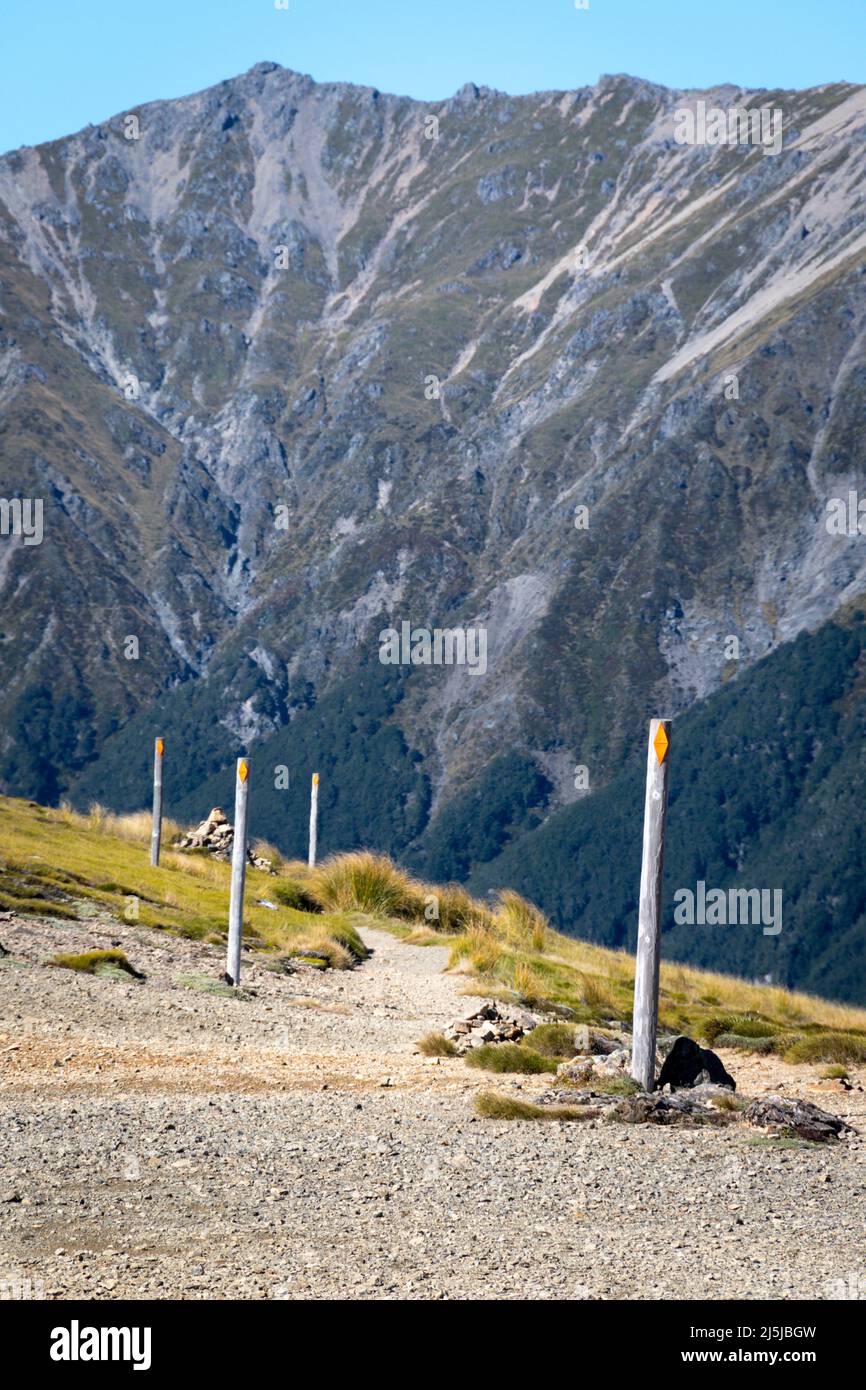Track markers on Paddys Track, Mount Robert, Nelson Lakes National Park, South Island, New Zealand.  St Arnaud Range in distance. Stock Photo