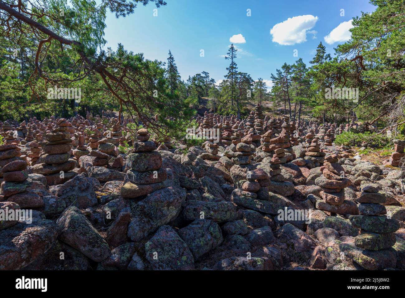 Forest full of rock formations, myriad piles of stones, along the Grottstigen cave nature trail at Geta in Åland Islands, Finland, at summer. Stock Photo