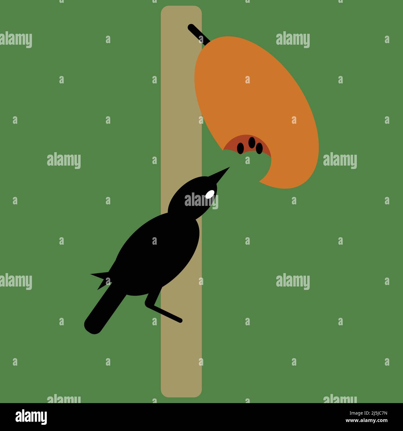 Cartoon Bird Eating fruit from the tree vector concept Stock Vector Image & Art Alamy