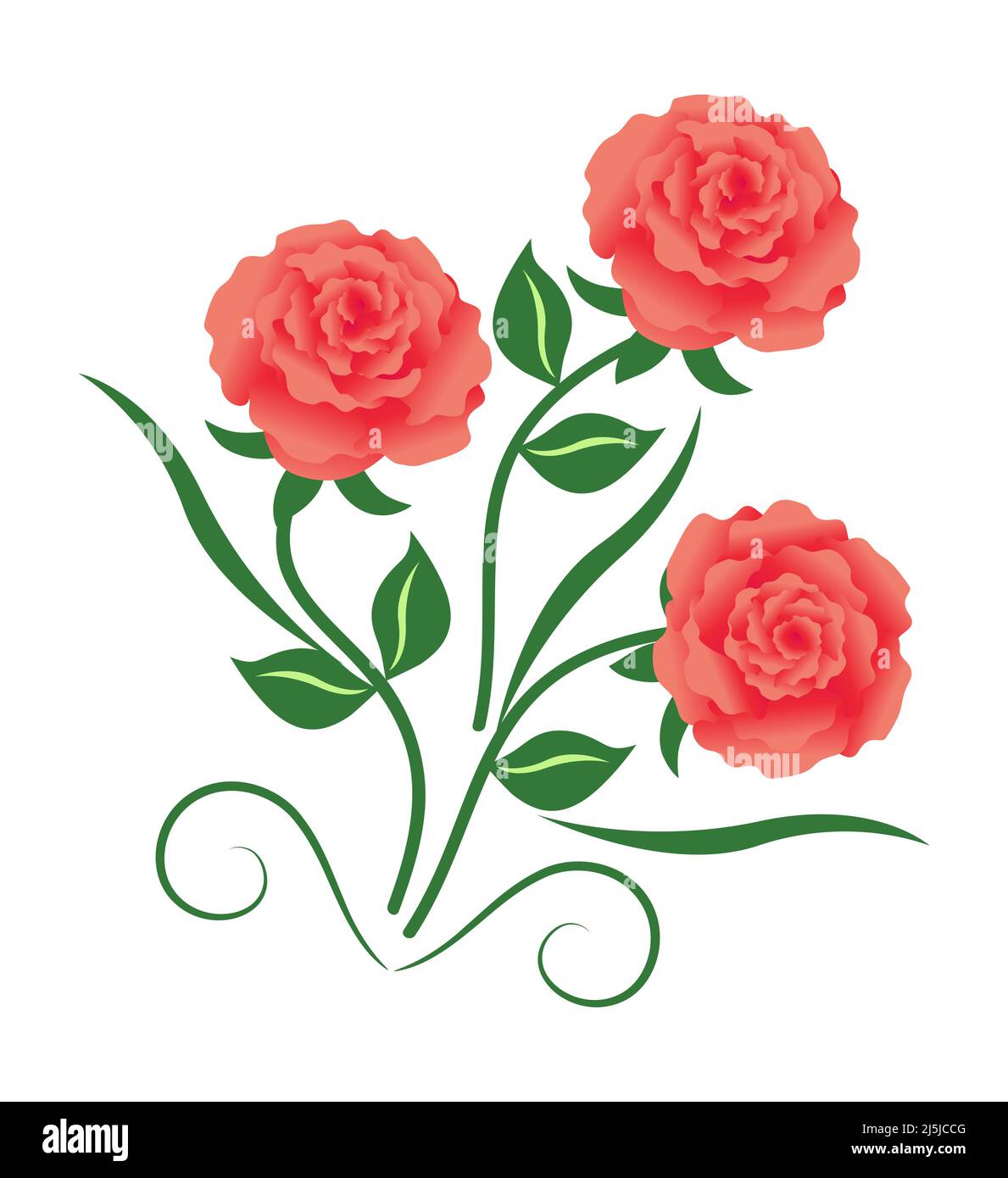 3 pink roses with leaf and swooshes. Vector illustration Stock Vector