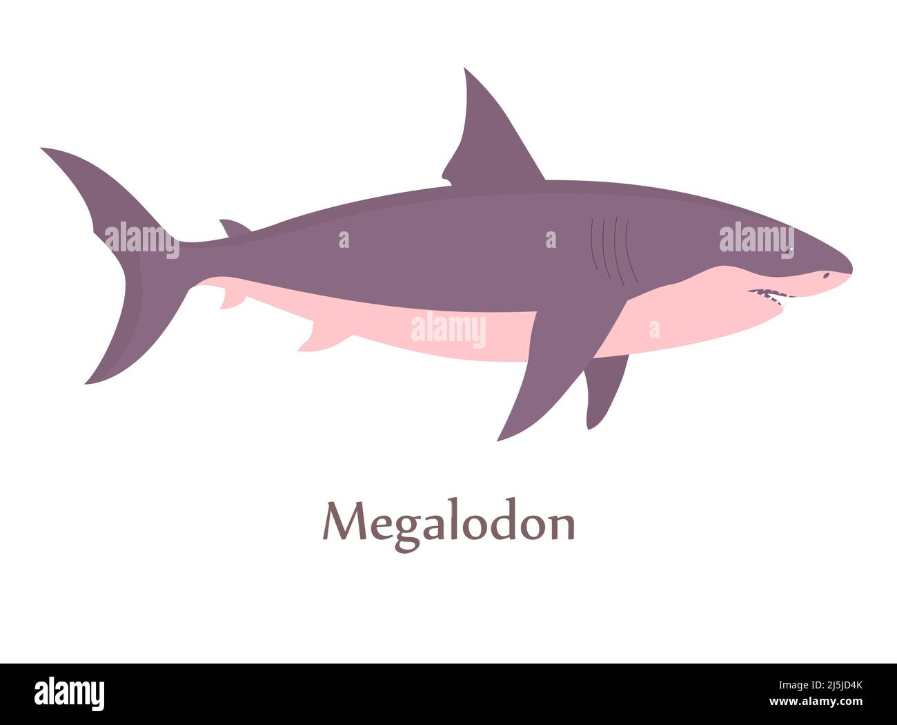 Prehistoric underwater shark megalodon with fins. Predatory sea lizard. Scary jaws with teeth. Wildlife of the Jurassic period. Vector illustration is Stock Vector