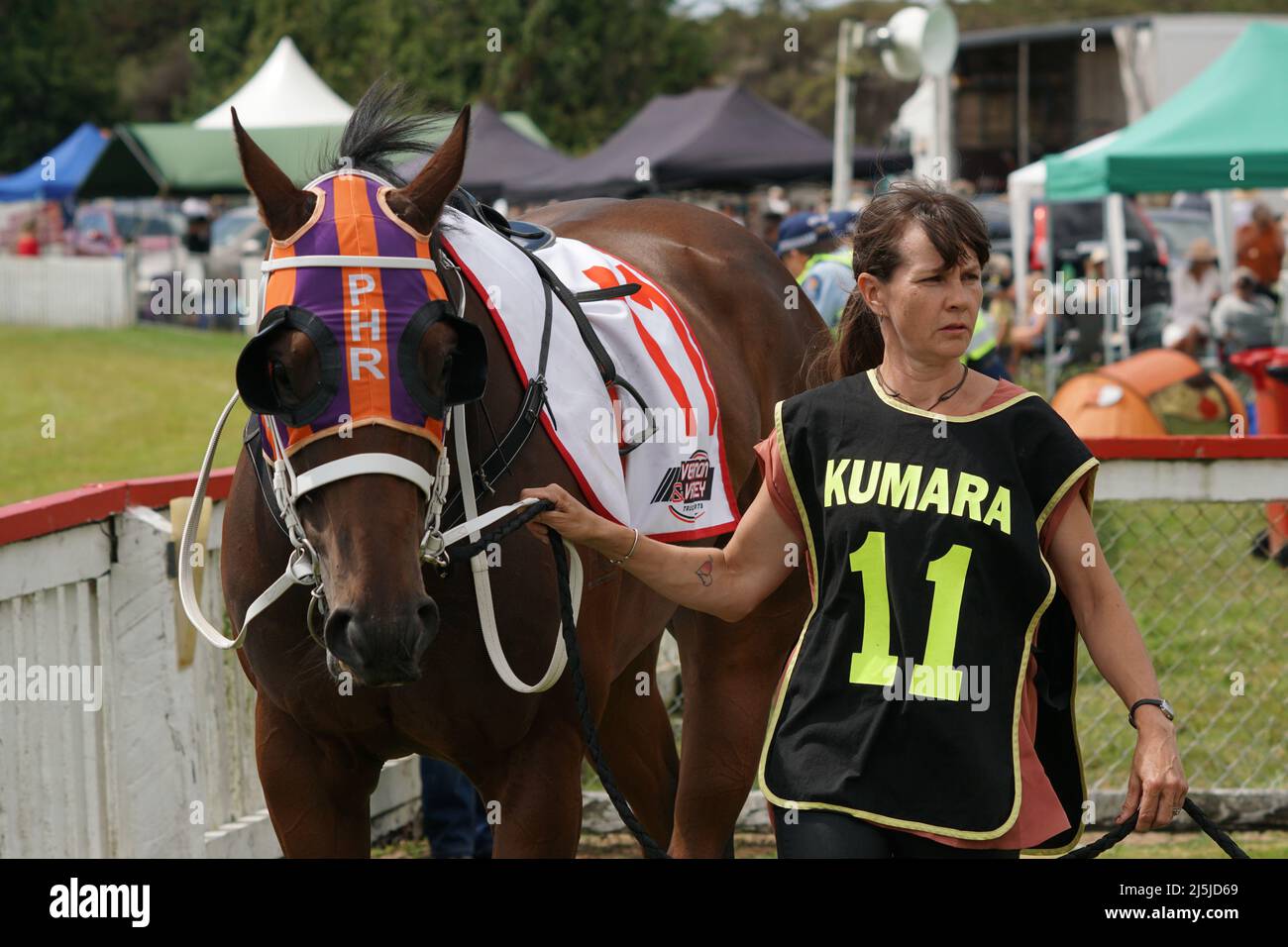 KUMARA, NEW ZEALAND, JANUARY 8, 2022; A trainer warms up her horse before a race at the Gold Nuggets competition at the Kumara Race Track, January 8, Stock Photo
