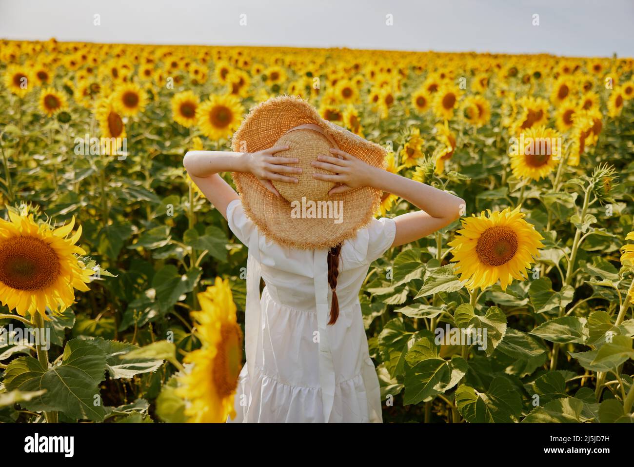 woman in a straw hat in a white dress back view of a field of ...