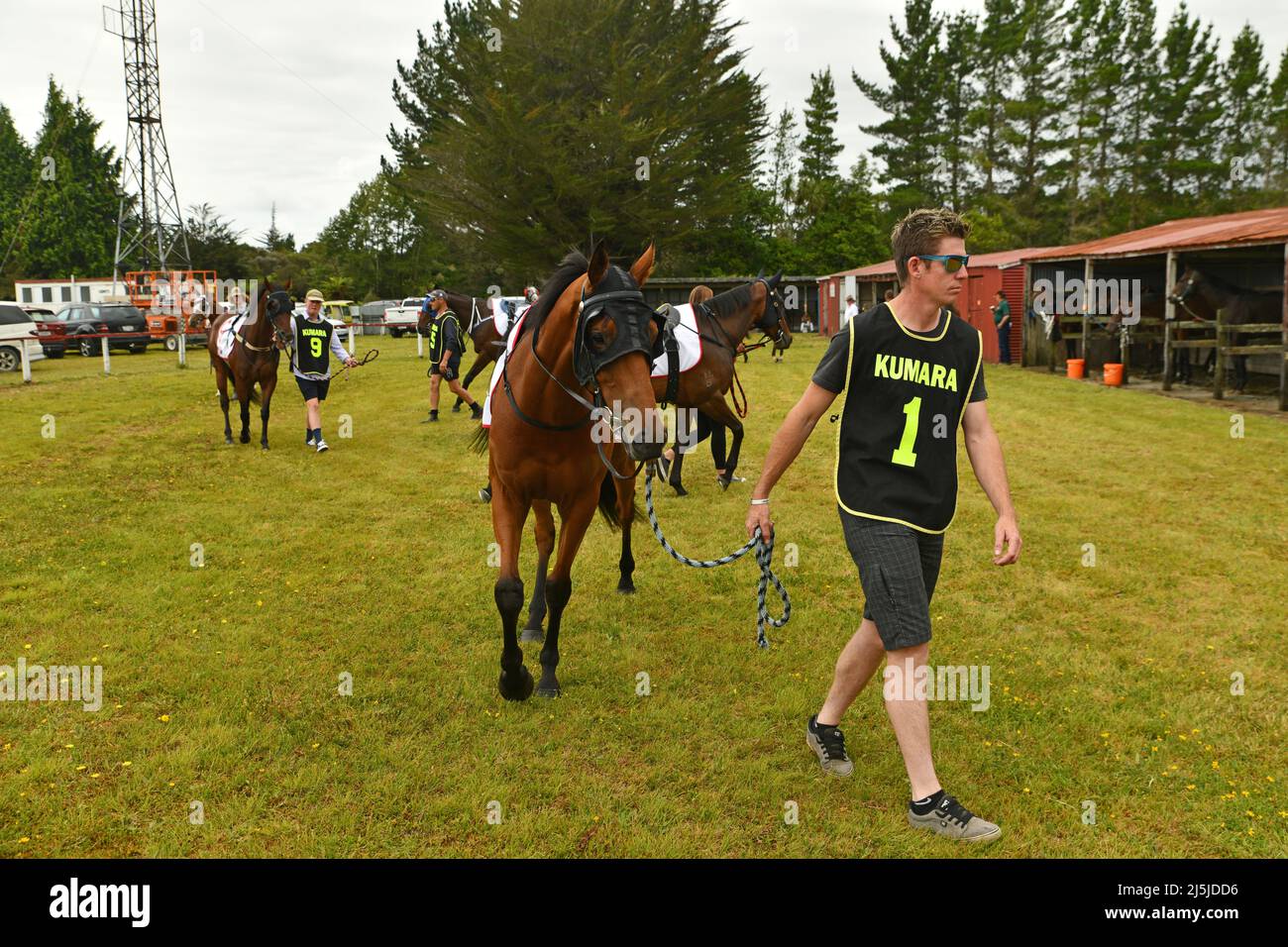 KUMARA, NEW ZEALAND, JANUARY 8, 2022; A trainer warms up his horse