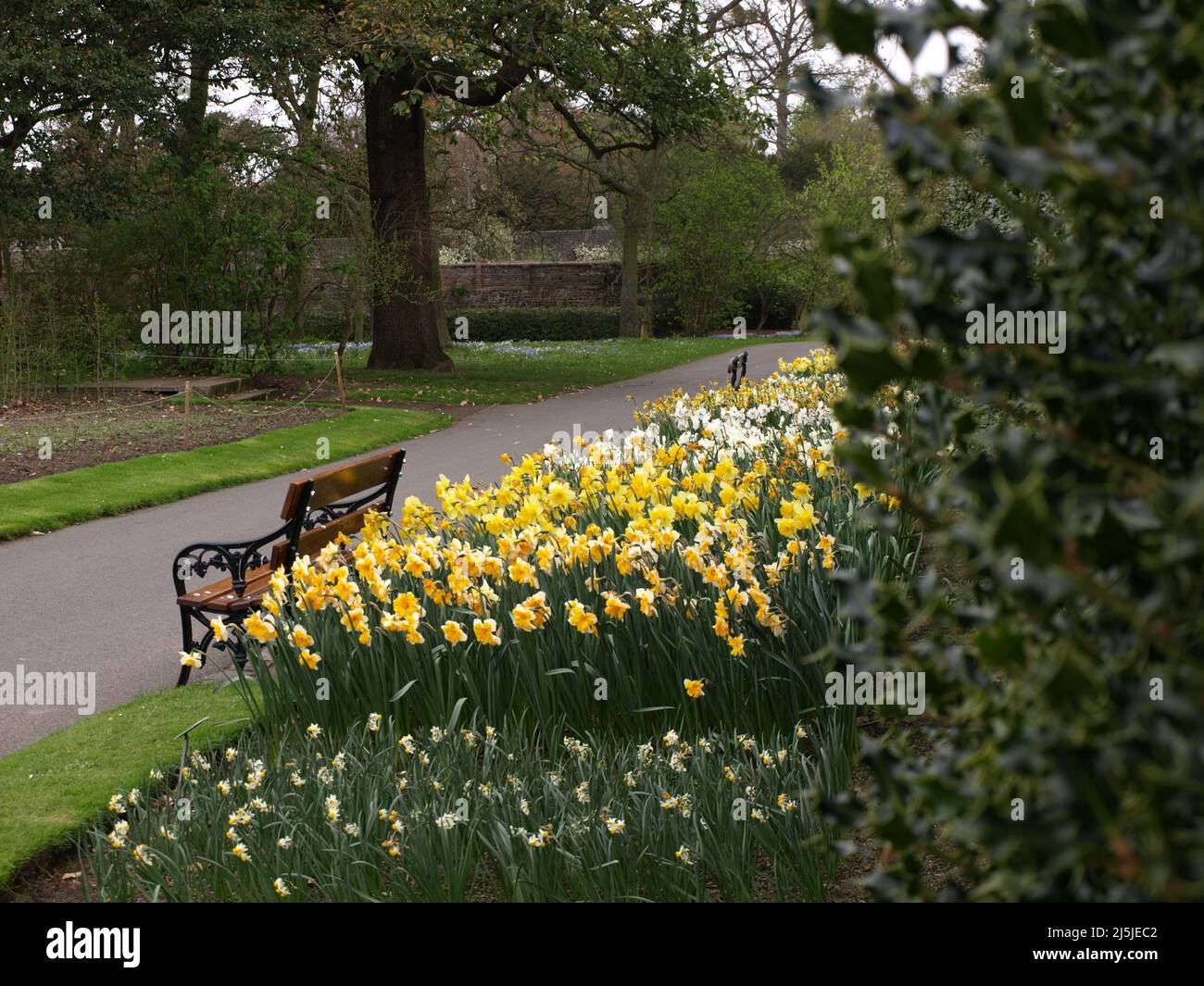 Dublin Ireland Botanic garden flowers creeks and forest Stock Photo Alamy
