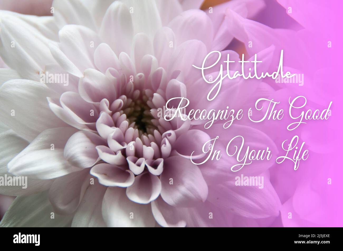 Inspirational quote text with white dahlia flower background. Motivational concept Stock Photo