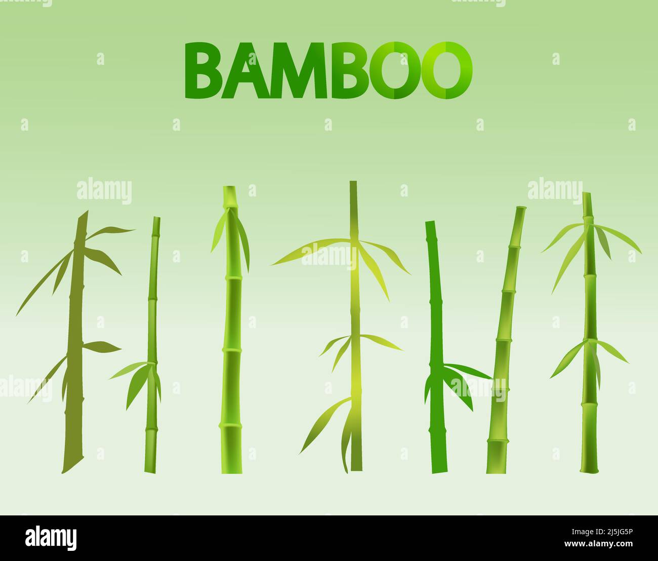 Green bamboo vector element set Stock Vector