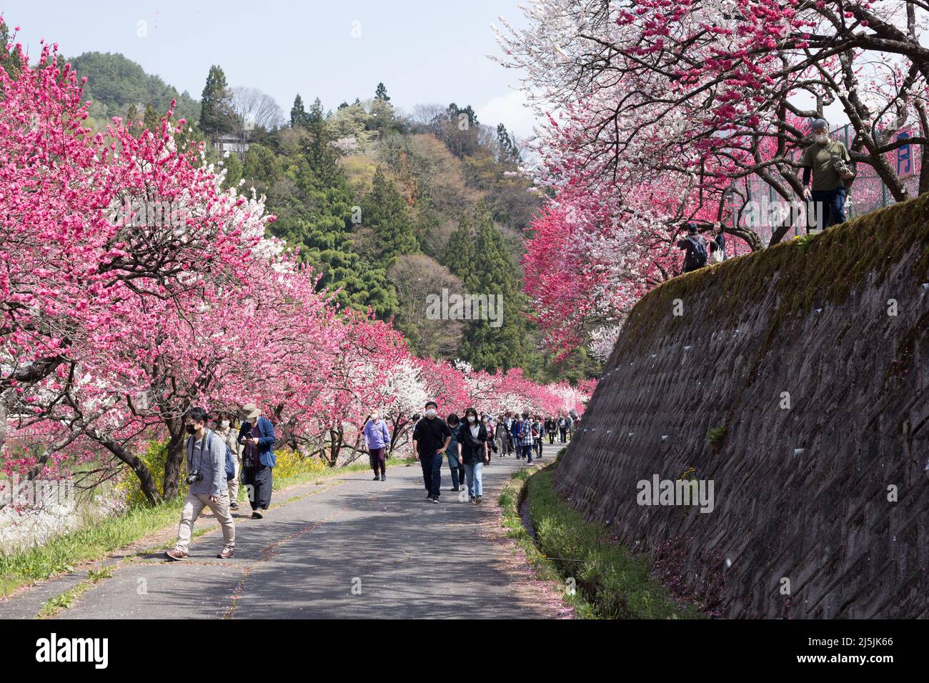 achi village, nagano, japan, 2022/23/04 , Achimura village in Nagano