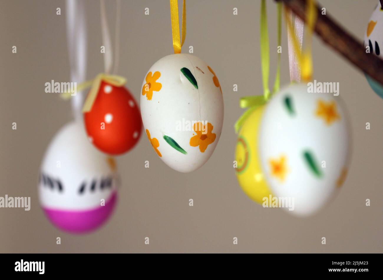 Easter eggs displayed on branch Stock Photo