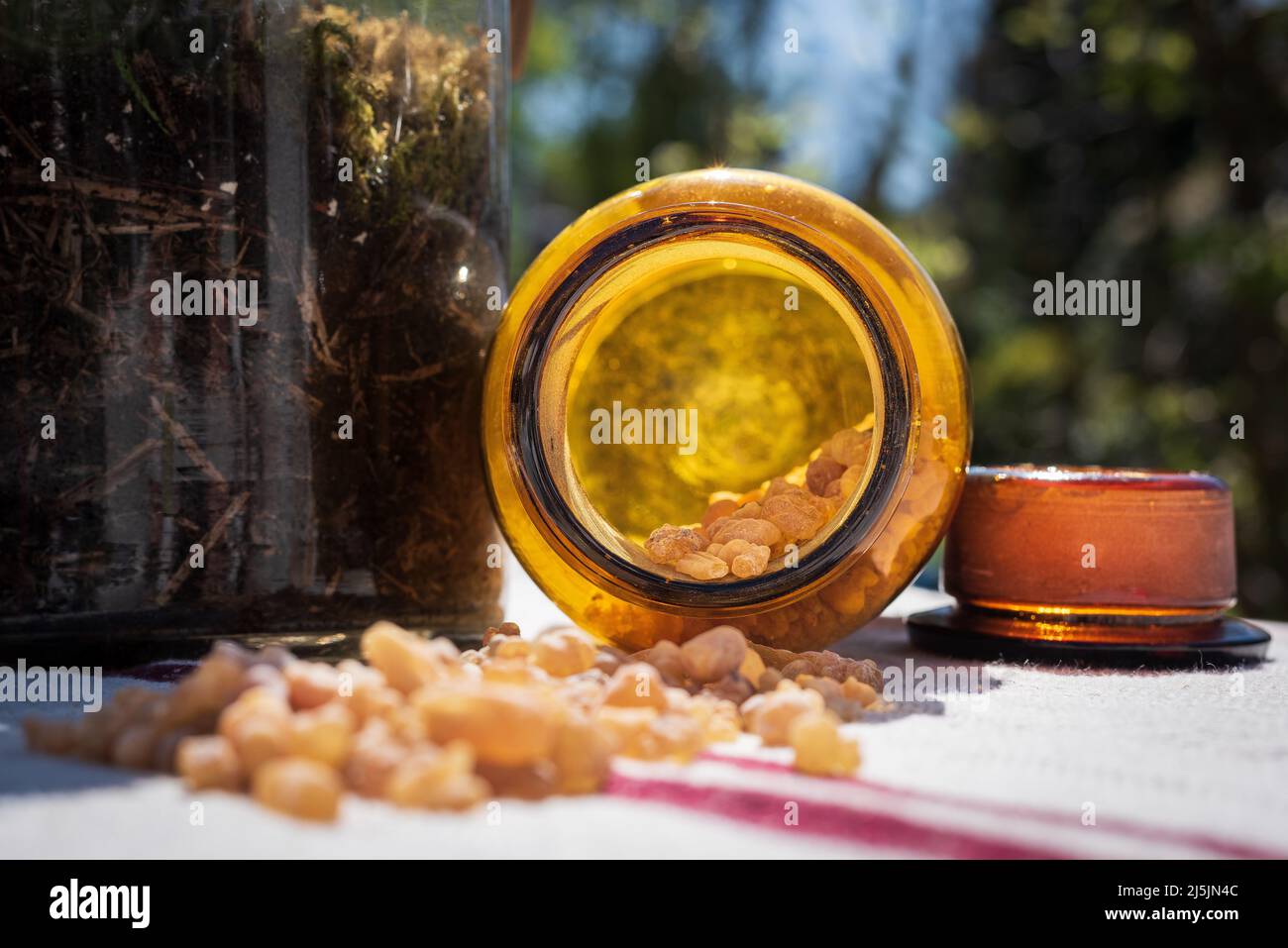 Candied orange peel inside a small jar. Stock Photo
