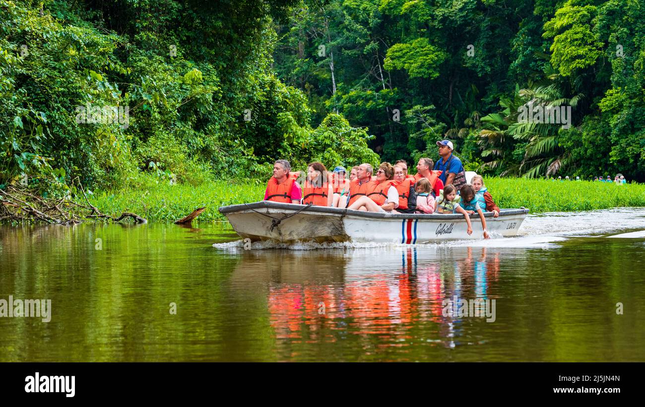 Tourists on a boat exploring the Rio Tortuguero forest. Ecotourism concept. Stock Photo