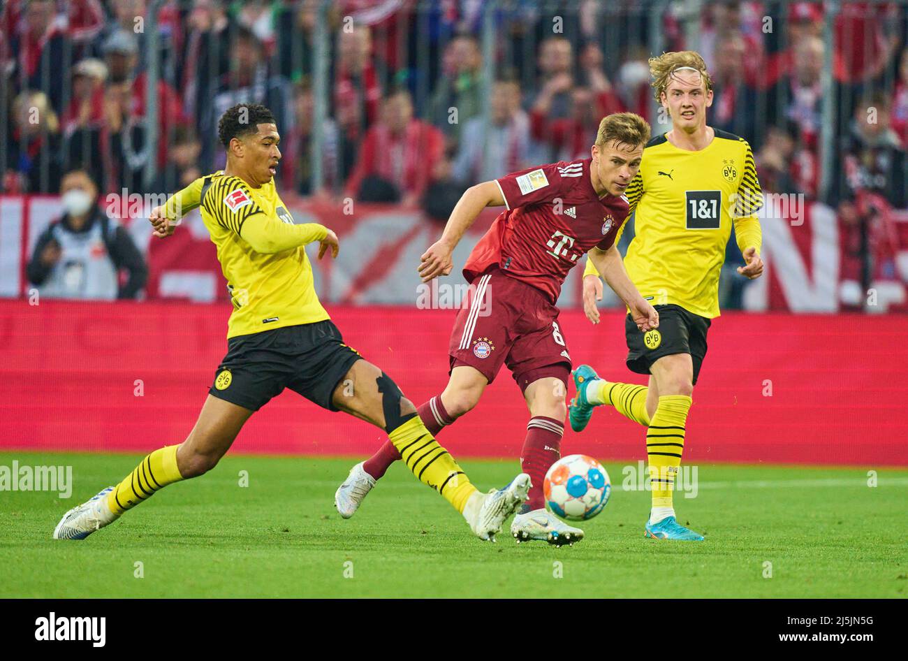 Joshua KIMMICH, FCB 6 compete for the ball, tackling, duel, header,  zweikampf, action, fight against Jude BELLINGHAM , Nr. 22 BVB Julian  BRANDT, BVB 19 in the match FC BAYERN MÜNCHEN -