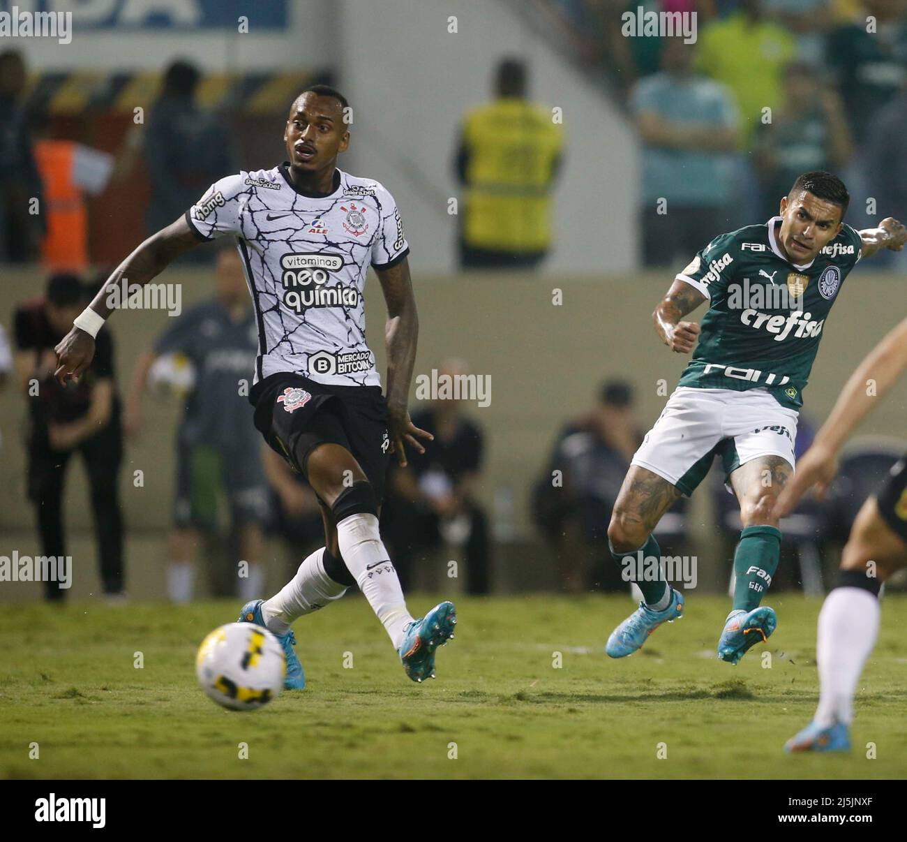 Corinthians x Palmeiras - Campeonato Brasileiro Feminino 2022 - Ao