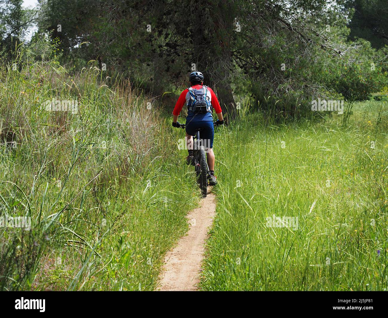 Cyclist on the Israeli single track Nir Moshe Stock Photo