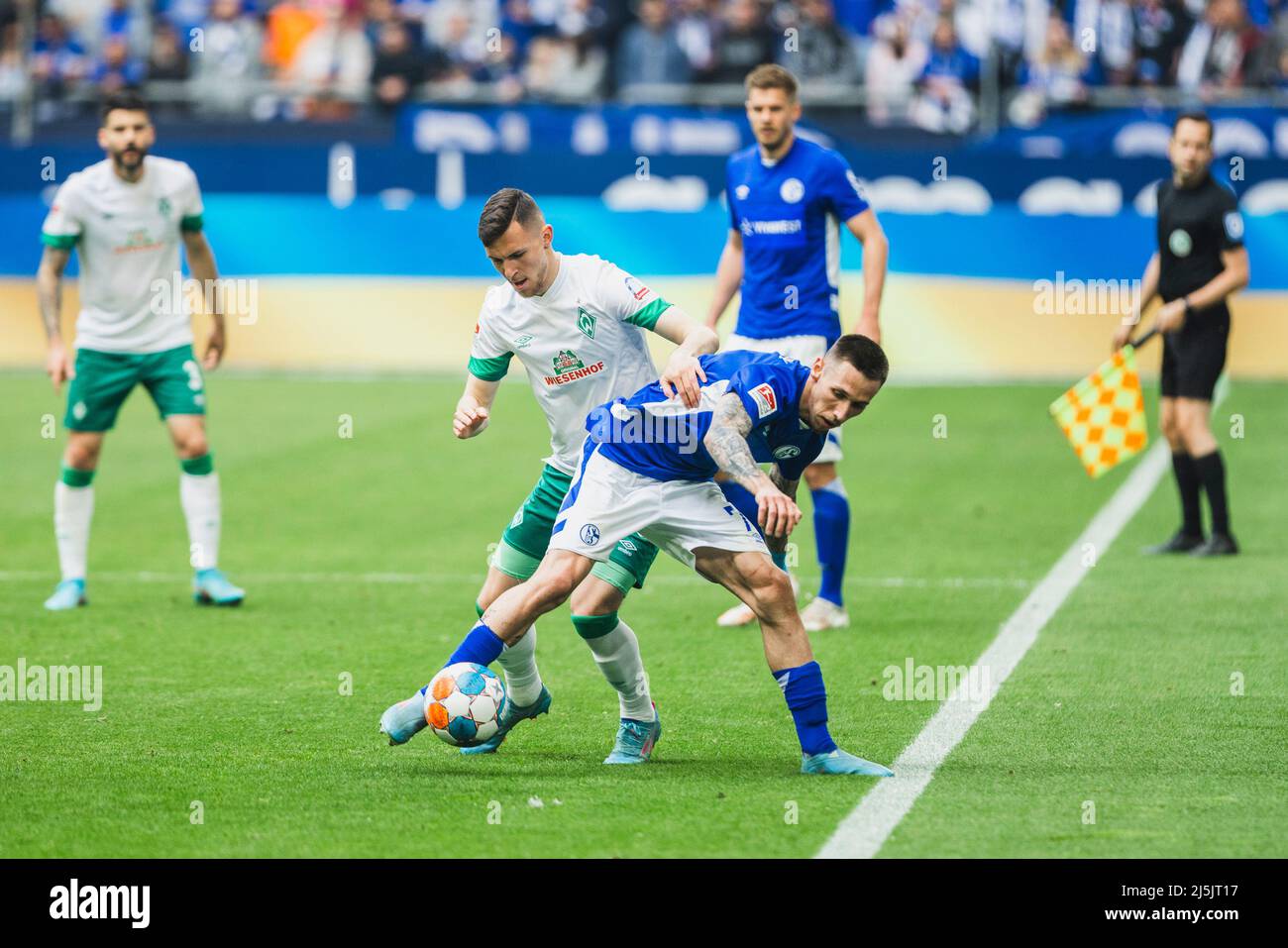 Darko churlinov fc schalke 04 hi-res stock photography and images - Alamy