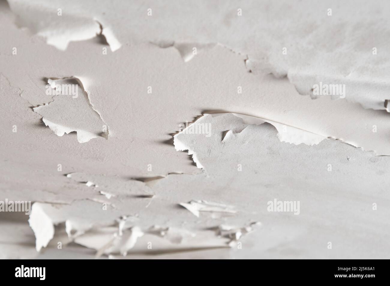 Peeling paint due to dampness on the bathroom ceiling after a water leak.  Moisture and condensation in room. Close up Stock Photo - Alamy