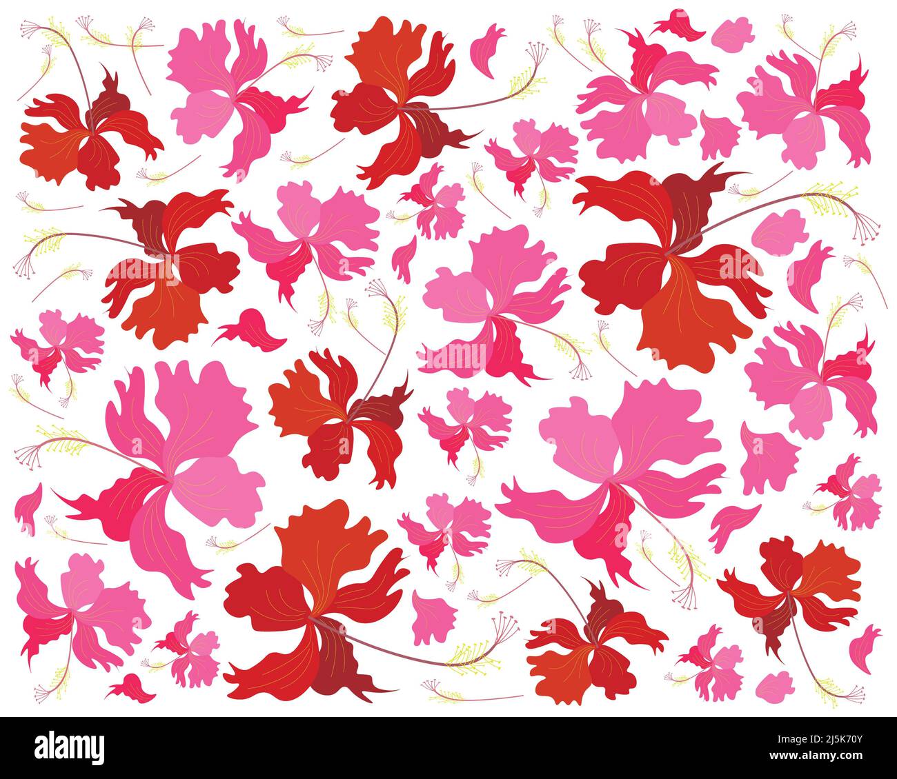 Bunga Raya Vector Png