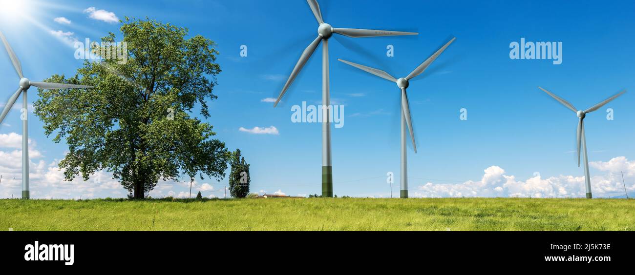 Group of wind turbines in a rural landscape with a green meadow and ...