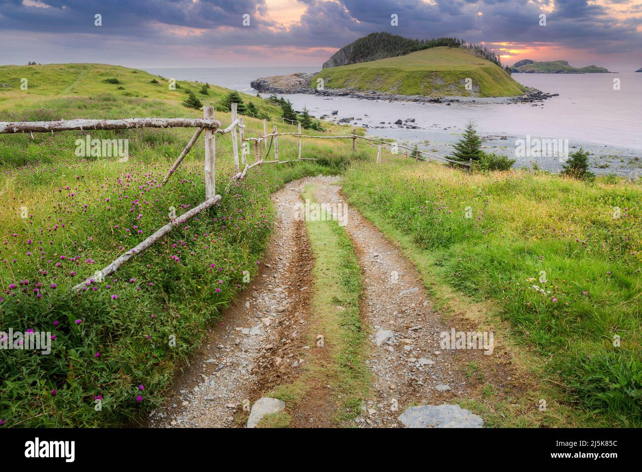 Old wooden fence leading to beach with islands in the distance in Tors Cove, Newfoundland, canada Stock Photo